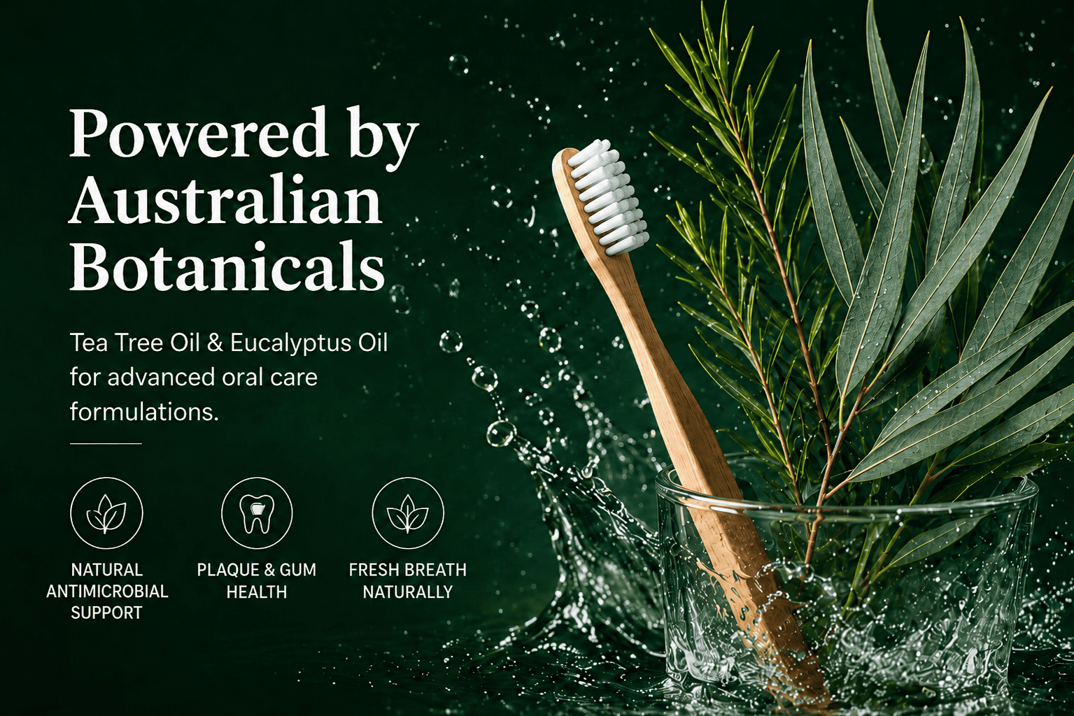 Australian Tea Tree Oil and Eucalyptus Oil for natural oral care applications, with botanical branches, toothbrush and mouthwash highlighting plaque control, gum health and fresh breath.